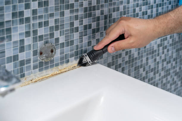 Trusted Nevada City, CA Mold Remediation Experts